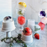 Crystal Baller Ice Sphere Mold Set of 2 | Picture Perfect Kitchen Designs