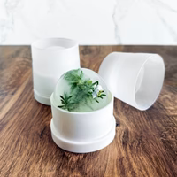 Crystal Baller Ice Sphere Mold Set of 2 | Picture Perfect Kitchen Designs