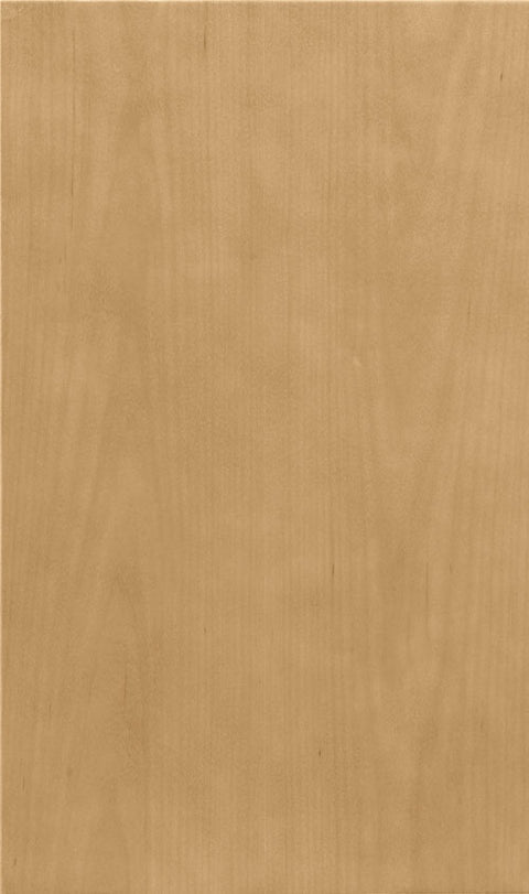 Sample 4 x 4 Finish Chips - Perfect for Design Decisions