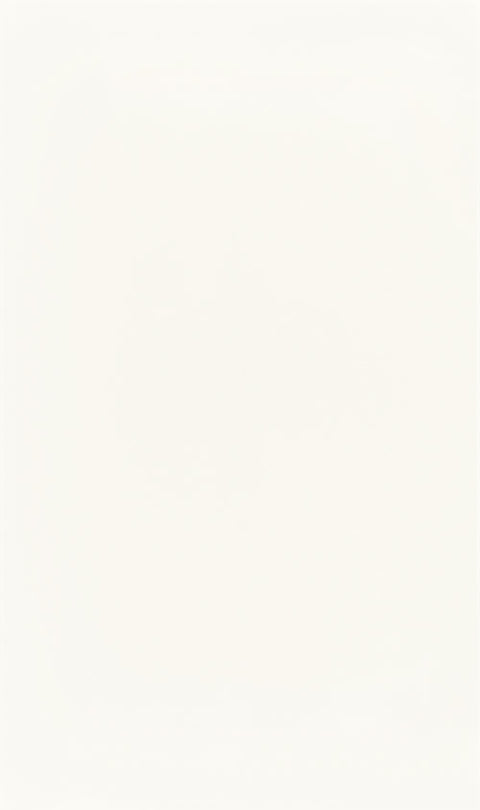 Sample 4 x 4 Finish Chips - Perfect for Design Decisions